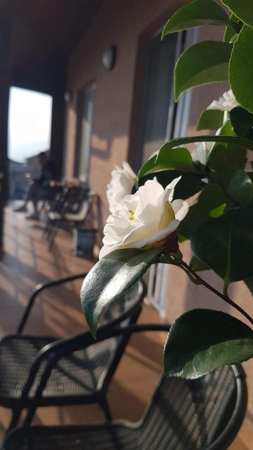 Casa Clau Cazare Orşova Exteriér fotografie